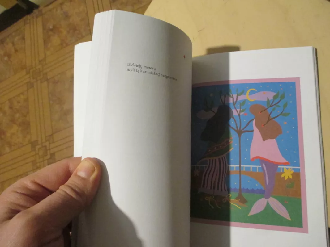 Antipoezija - Nicanor Parra, knyga 6