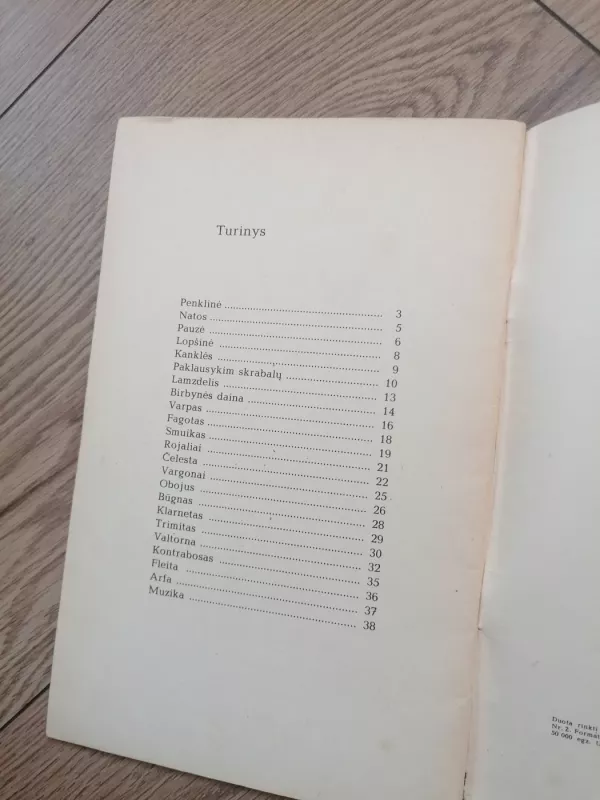 Susiradom smuiko raktą - Ramutė Skučaitė, knyga 6