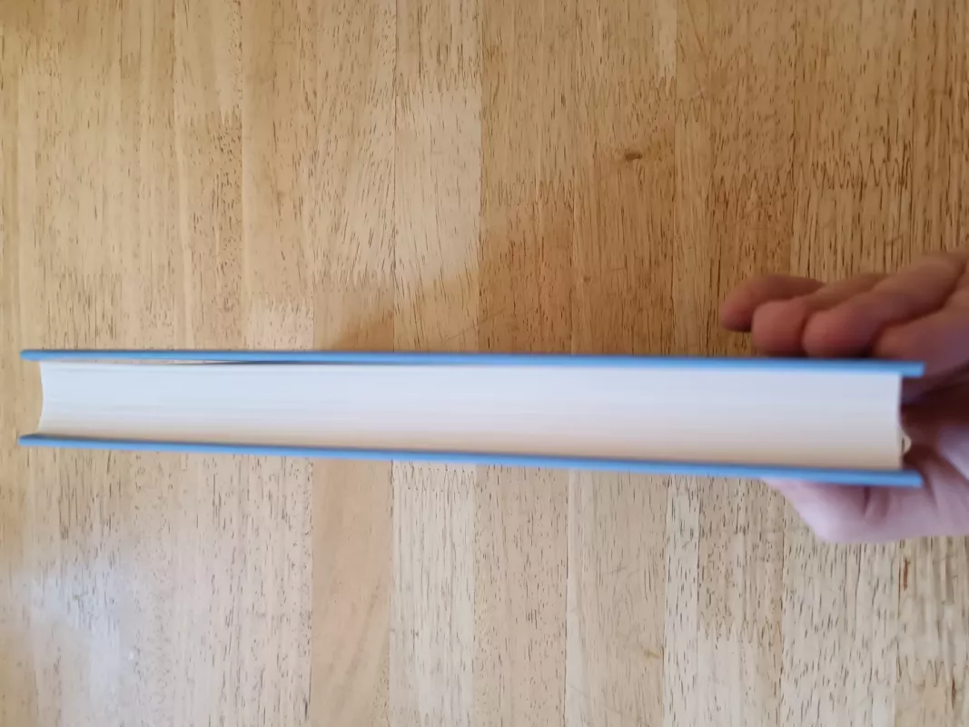 Jei turėčiau tavo veidą - Frances Cha, knyga 6