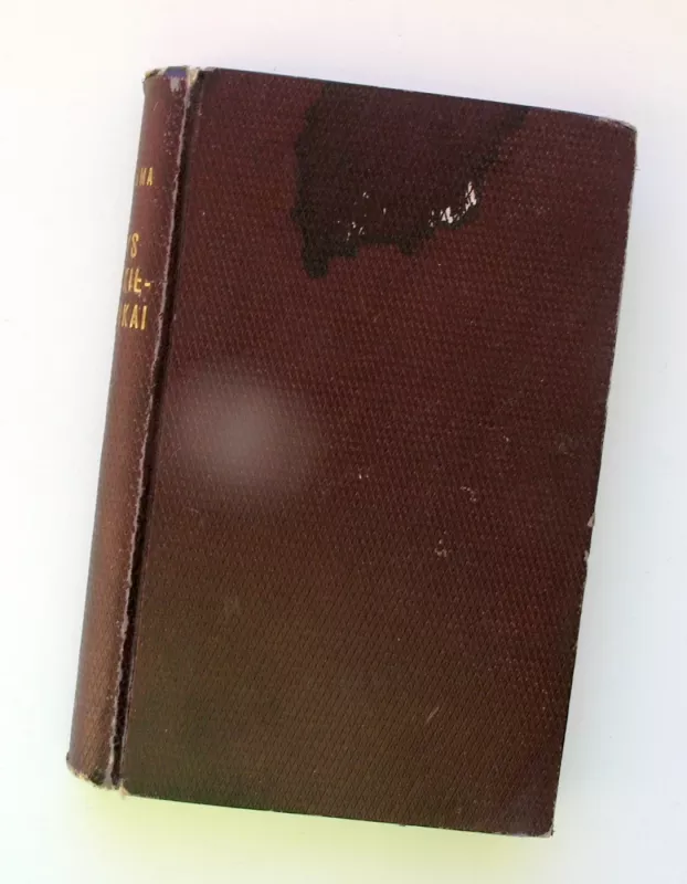 Trys muškietininkai 1940 - Aleksandras Diuma, knyga 3