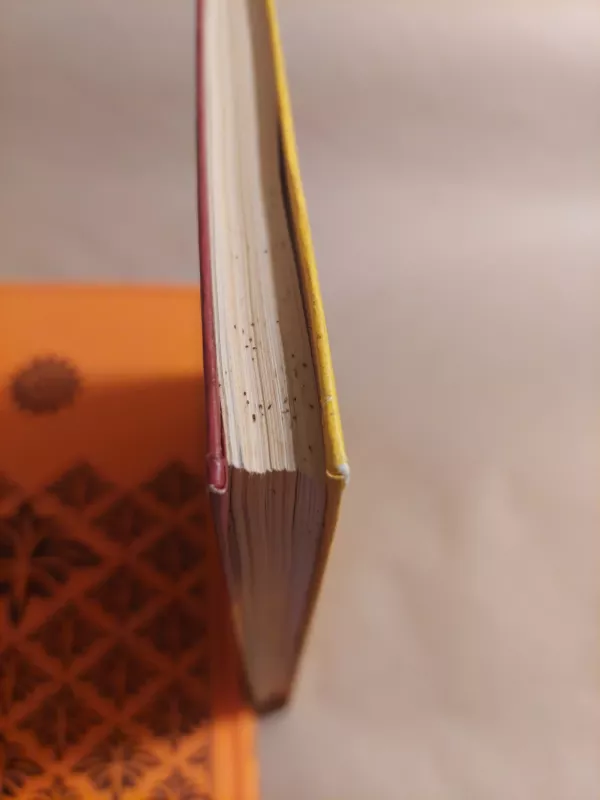 Rerichas - P. Belikovas, V.  Kniazeva, knyga 3