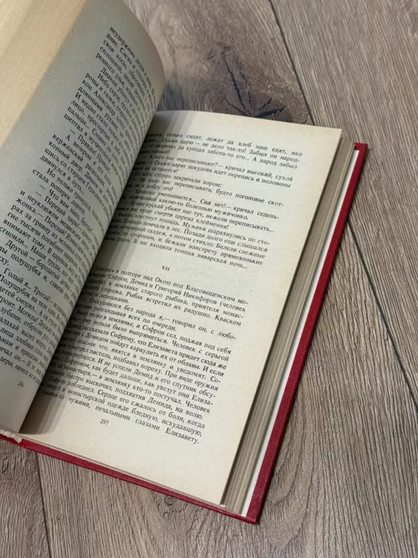 Pitirim - V. I. Kostyljev, knyga 6