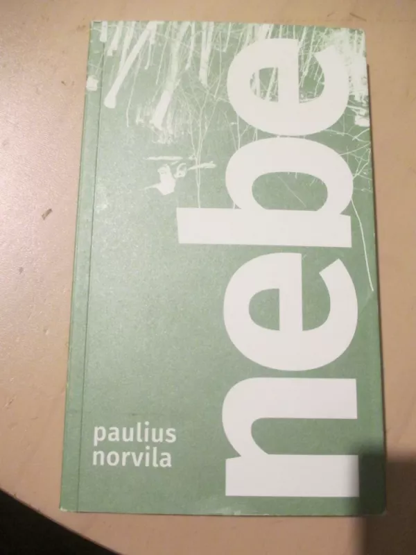Nebe - Paulius Norvila, knyga 3