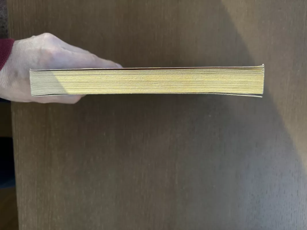 Bėgantis žmogus (42) - Stephen King, knyga 4