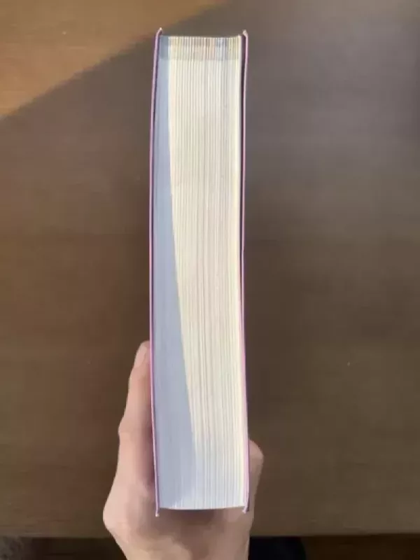 Meno istorija nuo viduramžių iki šiuolaikinio meno - Larousse, knyga 3