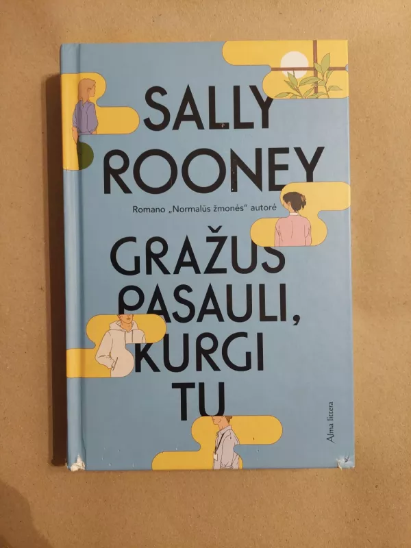 Gražus pasauli, kurgi tu - Sally Rooney, knyga 2