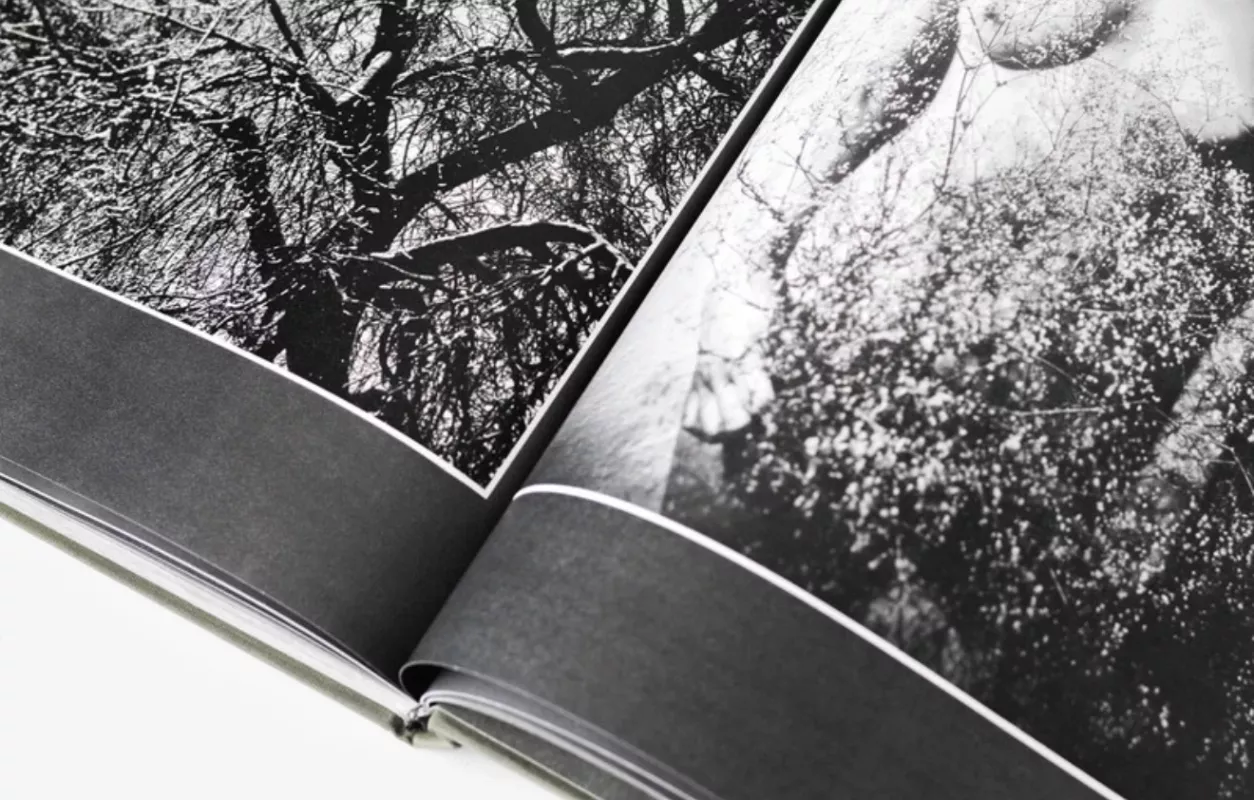 Žiedai tarp žiedų - Rimantas Dichavičius, knyga 6