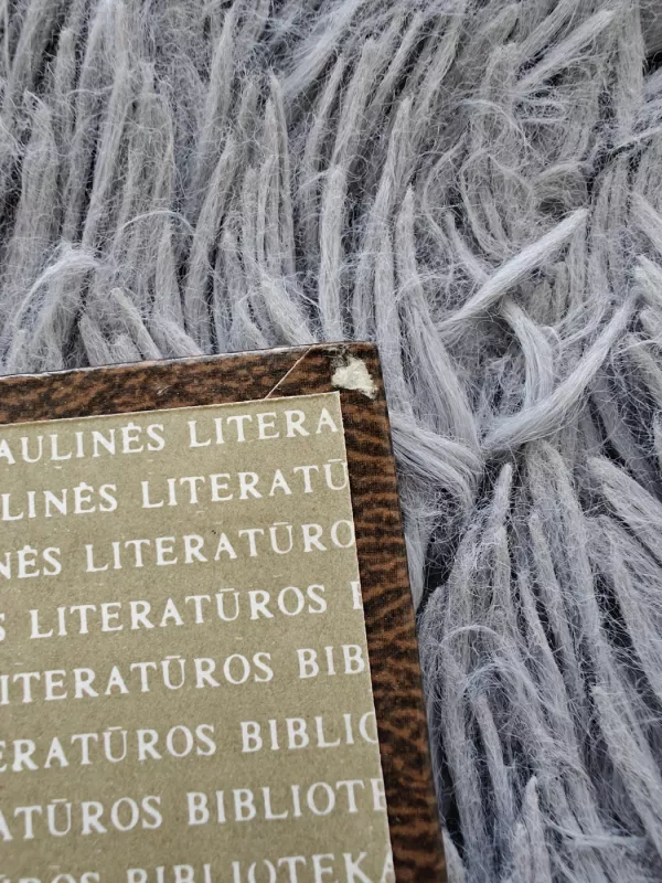 Pinigų padirbinėtojai - Andre Gide, knyga 3