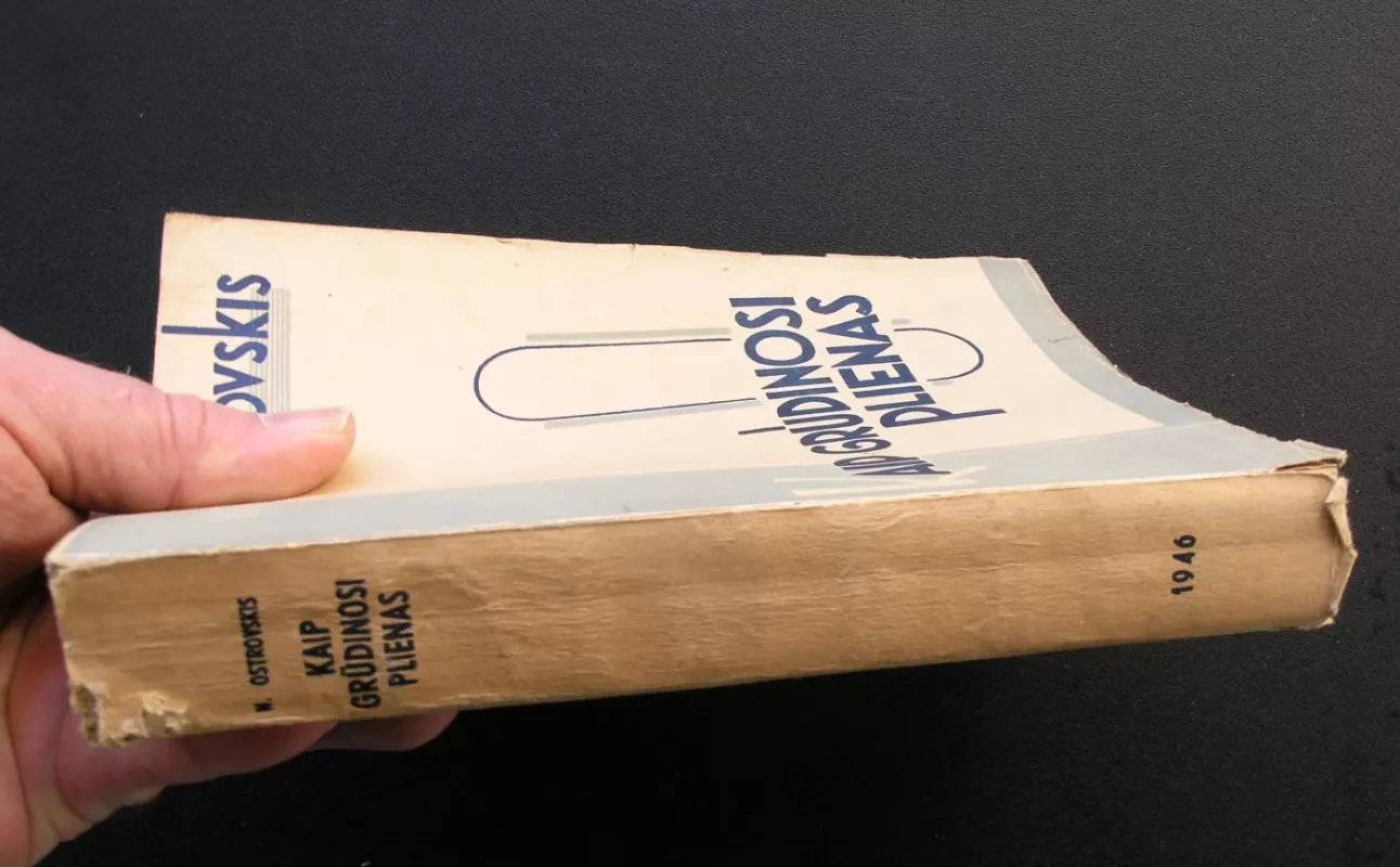 Kaip grūdinosi plienas - Nikolajus Ostrovskis, knyga 4