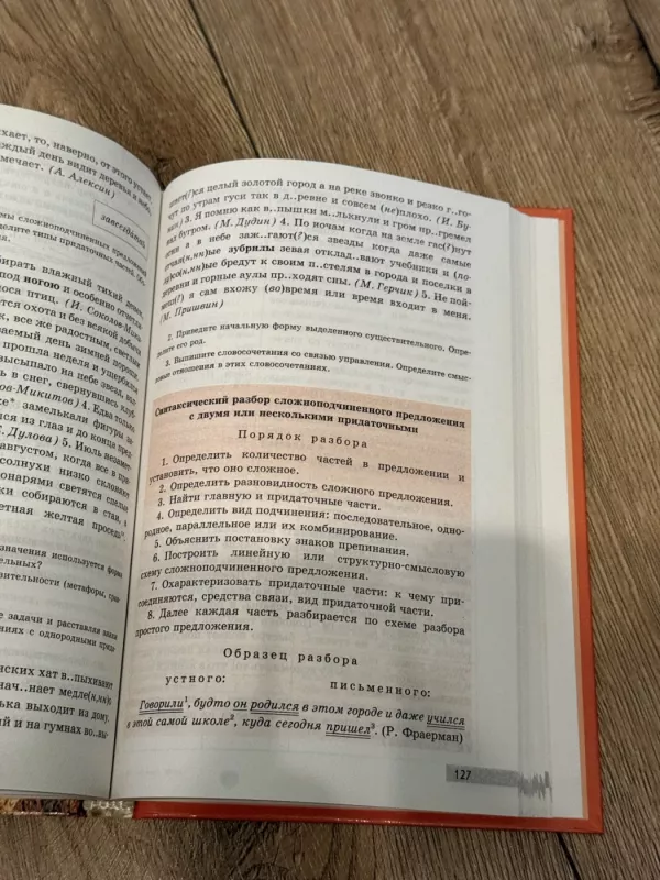 Rusų kalba 10 klasei - L. A. Murina, knyga 4