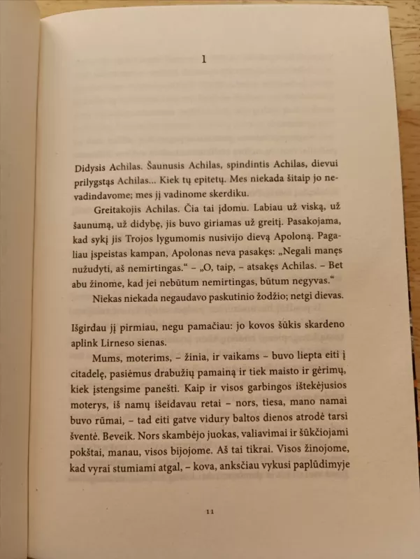 Mergelių tyla - Pat Barker, knyga 4