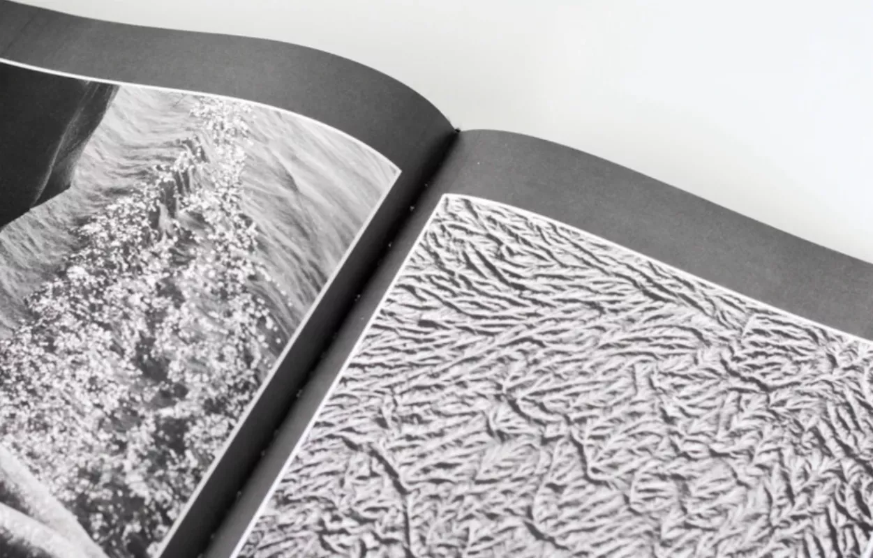 Žiedai tarp žiedų - Rimantas Dichavičius, knyga 5