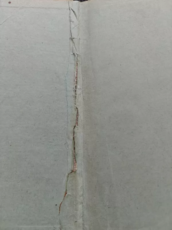 Deividas Koperfildas - Charles Dickens, knyga 3