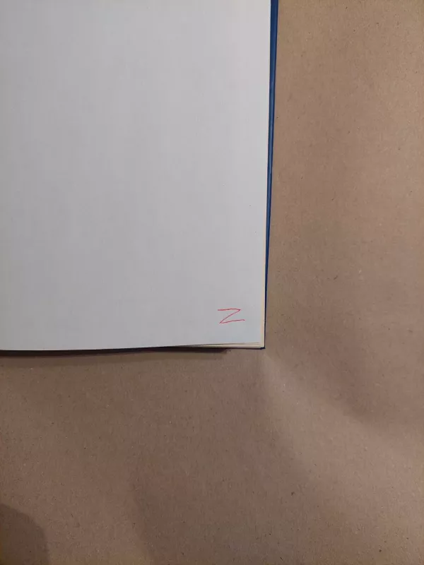 Dailininkas - Jane Urquhart, knyga 4