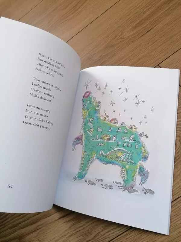 Baltas dangus - Lina Darbutaitė, knyga 5