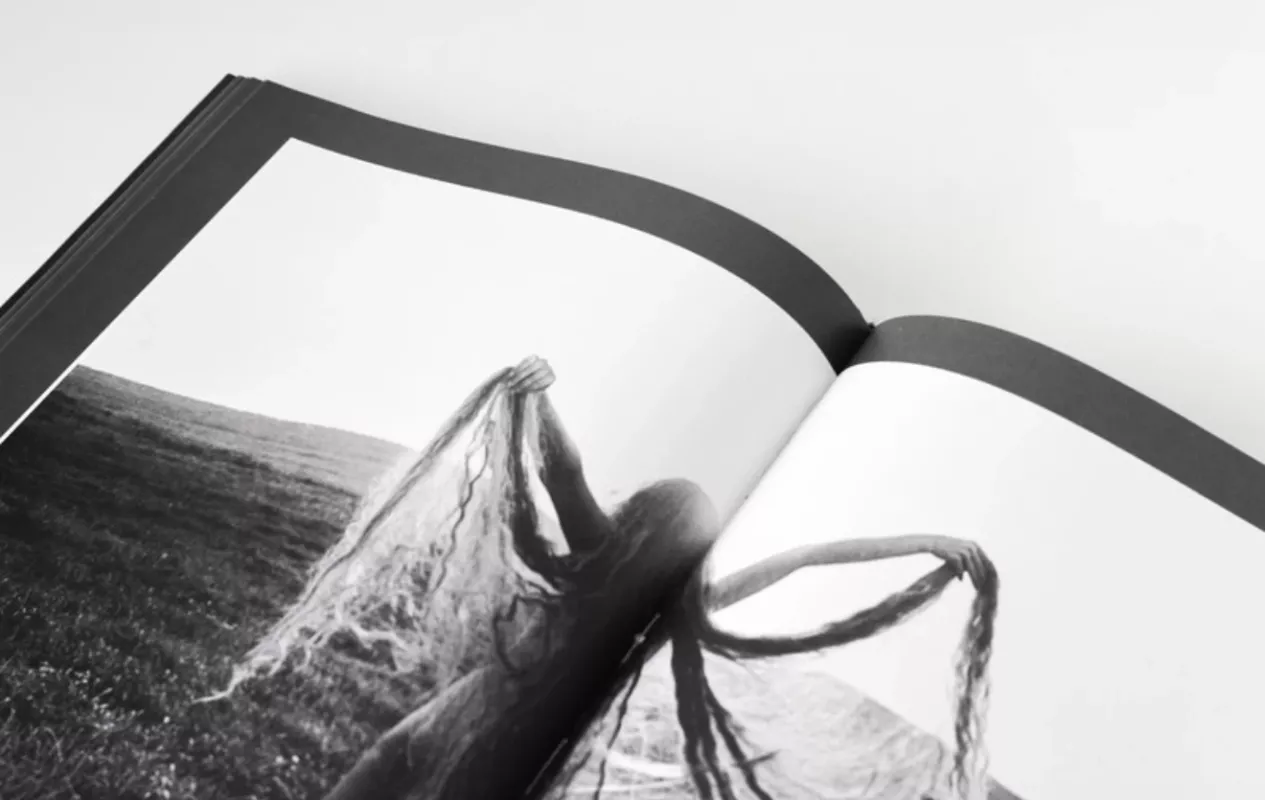 Žiedai tarp žiedų - Rimantas Dichavičius, knyga 3