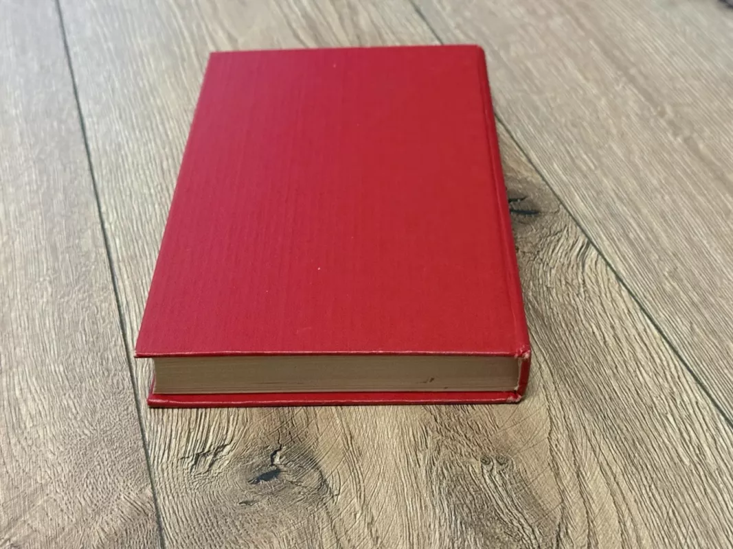 Pitirim - V. I. Kostyljev, knyga 4