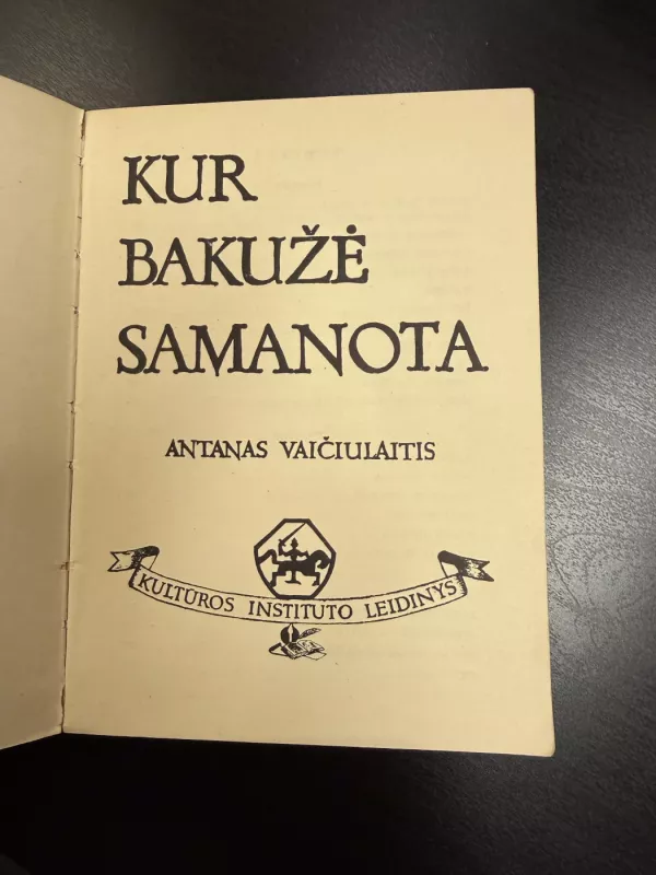Kur bakužė samanota - Antanas Vaičiulaitis, knyga 4