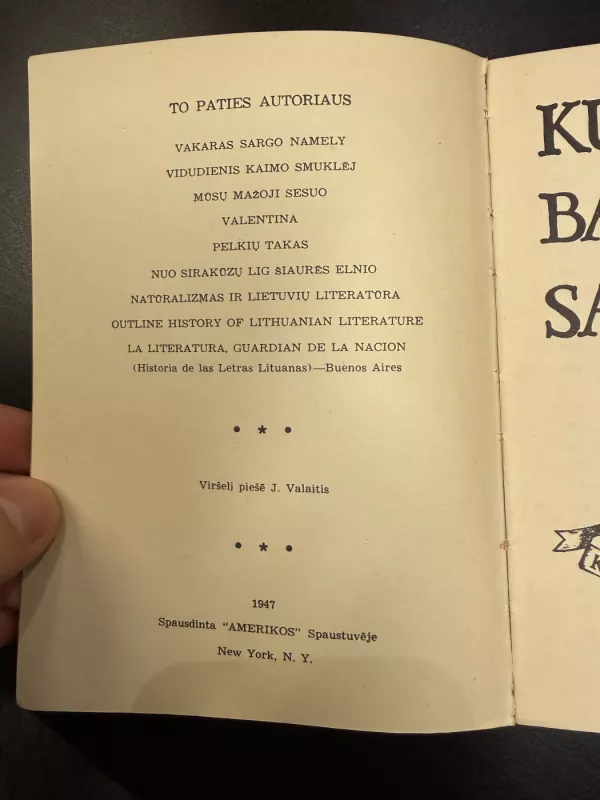 Kur bakužė samanota - Antanas Vaičiulaitis, knyga 3
