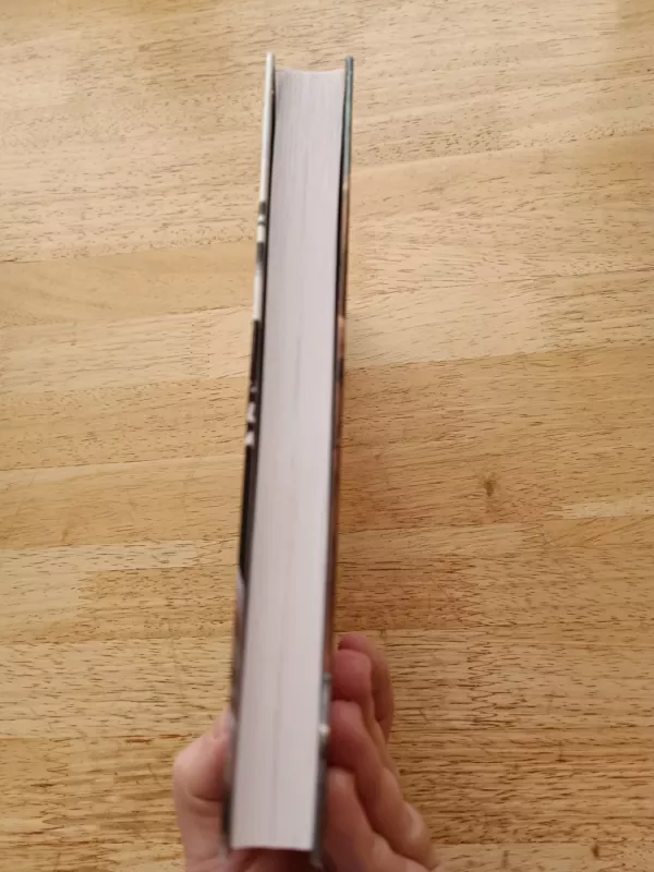 Prabhupada. Jis pastatė namus, kuriuose gali gyventi visas pasaulis - Autorių Kolektyvas, knyga 6