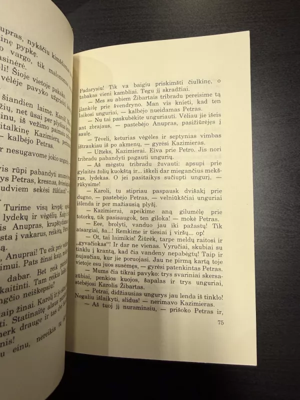 Alšėnų kunigaikštytė - Jonas Vizbaras-Sūduvas, knyga 6