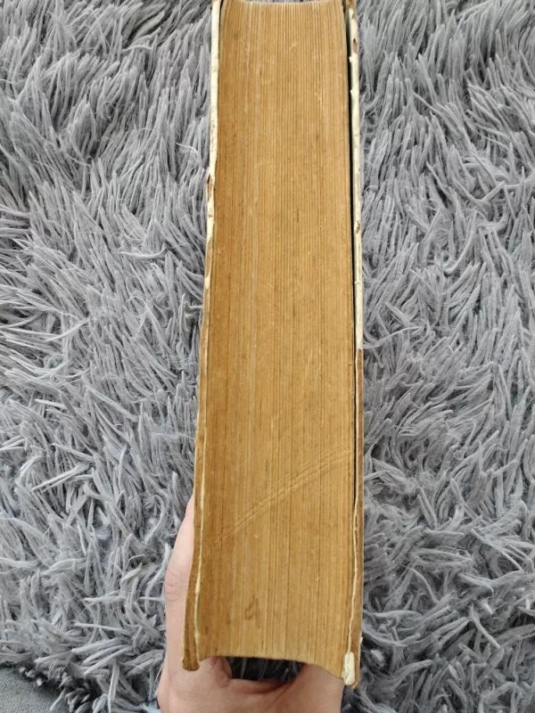 Deividas Koperfildas - Charles Dickens, knyga 4