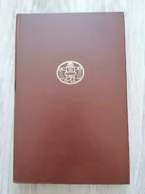 Doriano Grėjaus Portretas,  Menininko jaunų dienų portretas - Oskaras Vaildas, Džeimsas Džoisas, knyga 2