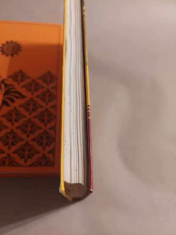 Rerichas - P. Belikovas, V.  Kniazeva, knyga 4