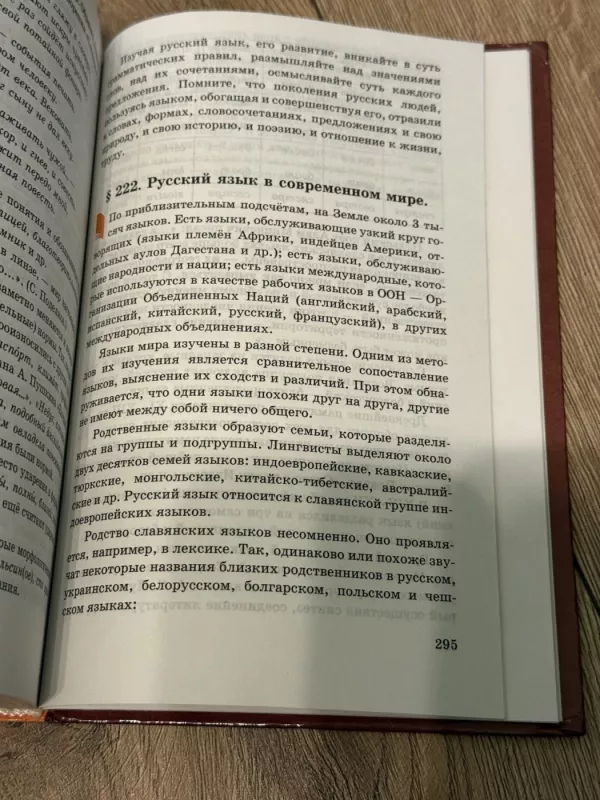 Rusų kalba. Teorija. 5–9 klasės - V. V. Babaytseva, knyga 6