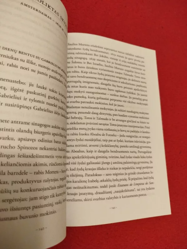 Spinozos problema - Irvin D. Yalom, knyga 4