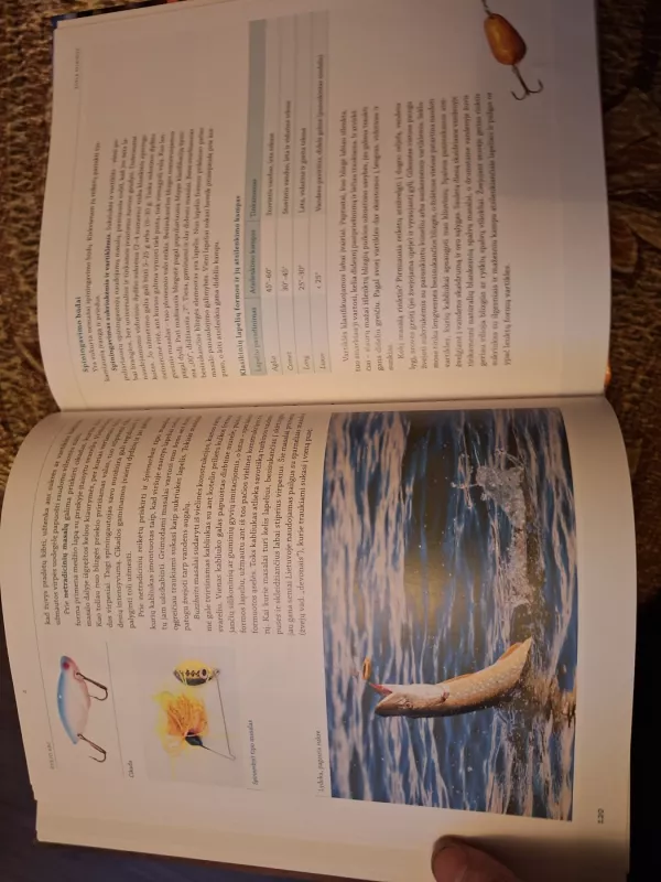 Žvejo ABC: mėgėjų žūklės vadovas - Autorių Kolektyvas, knyga 6