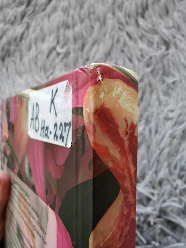 Vegetarė - Han Kang, knyga 3