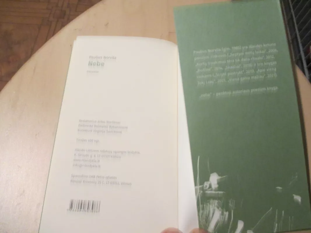 Nebe - Paulius Norvila, knyga 5