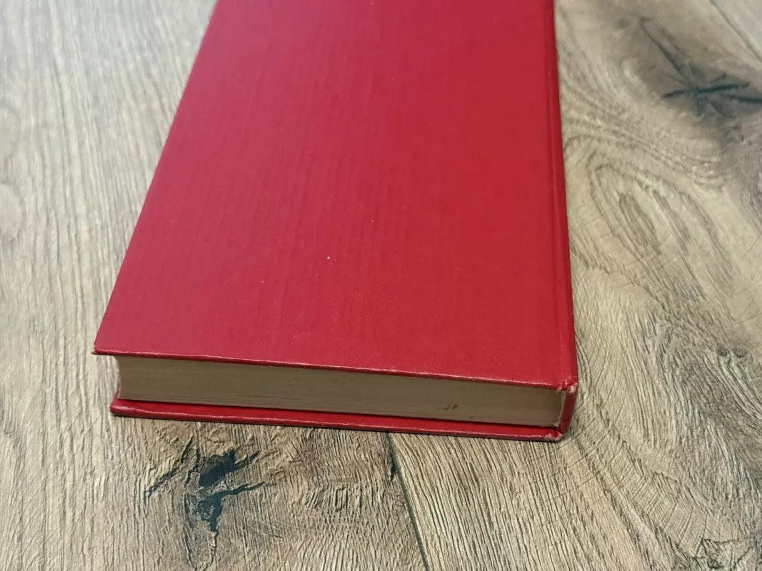 Pitirim - V. I. Kostyljev, knyga 5