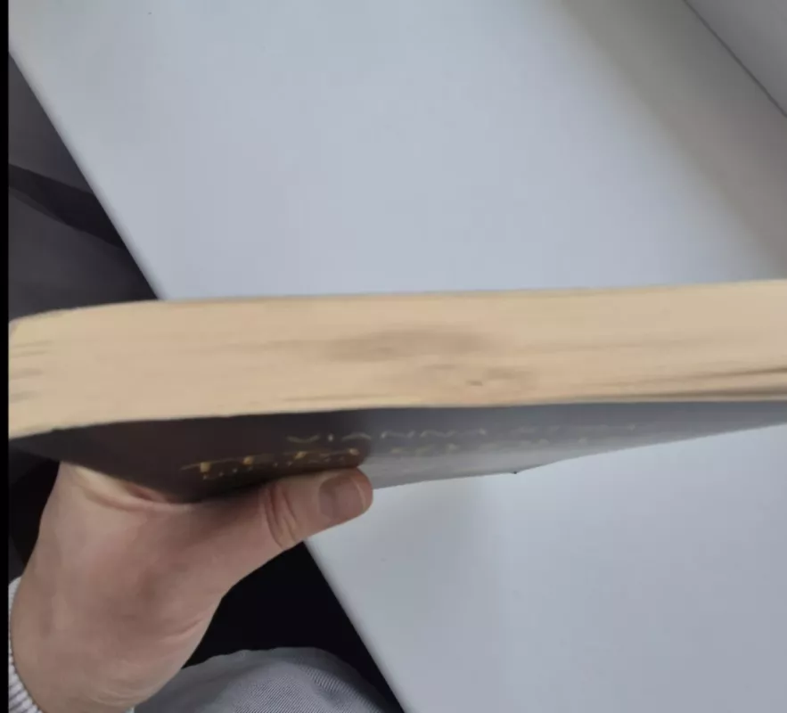 Teta gydymas. Giluminių įsitikinimų ieškojimas - Vianna Stibal, knyga 4