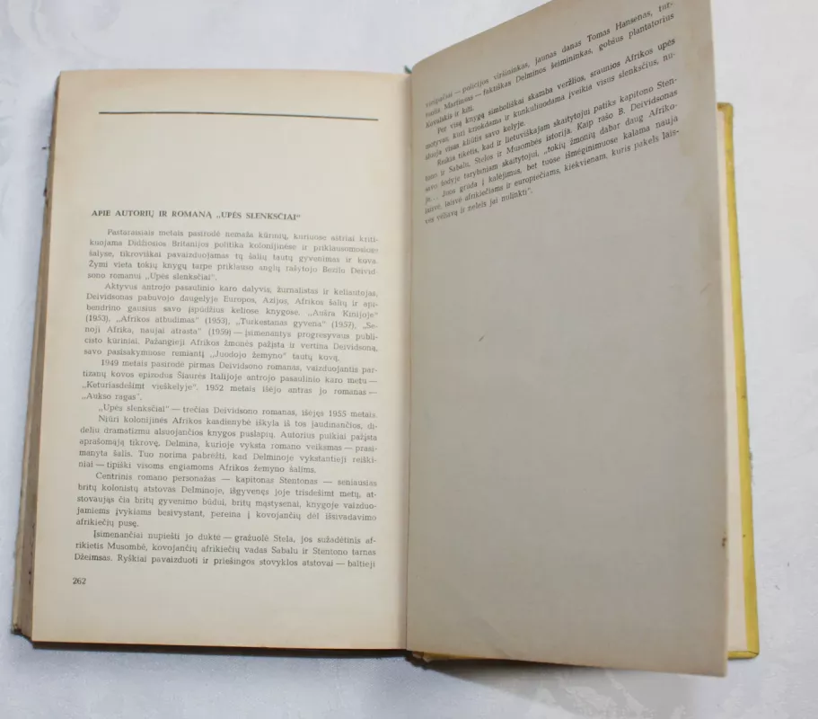 Upės slenksčiai - B. Deividsonas, knyga 5