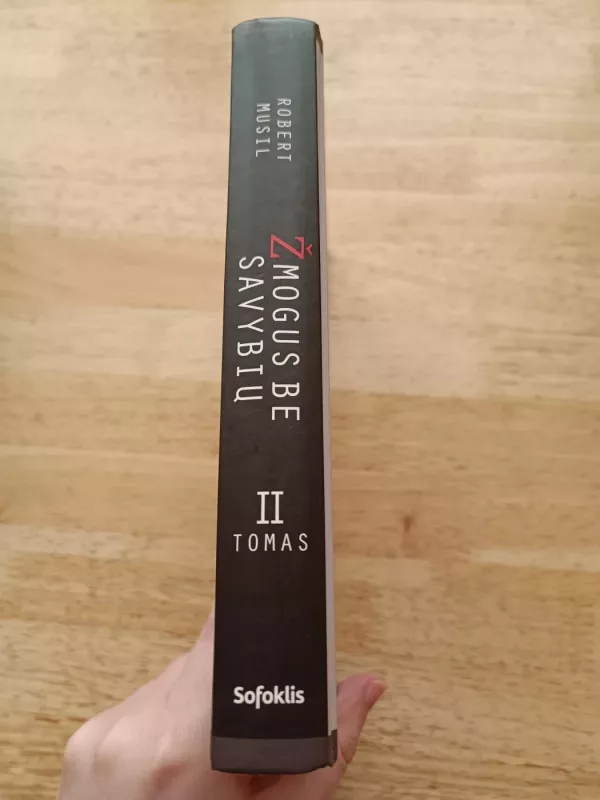 Žmogus be savybių - Robert Musil, knyga 6