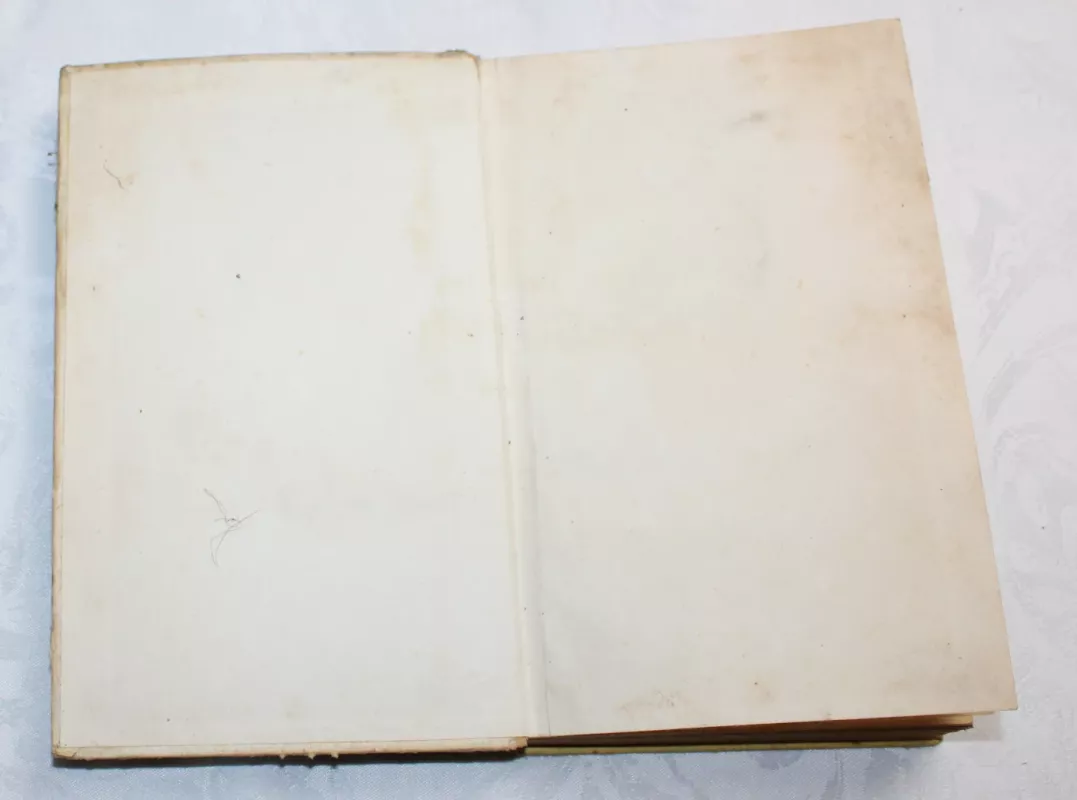 Upės slenksčiai - B. Deividsonas, knyga 3