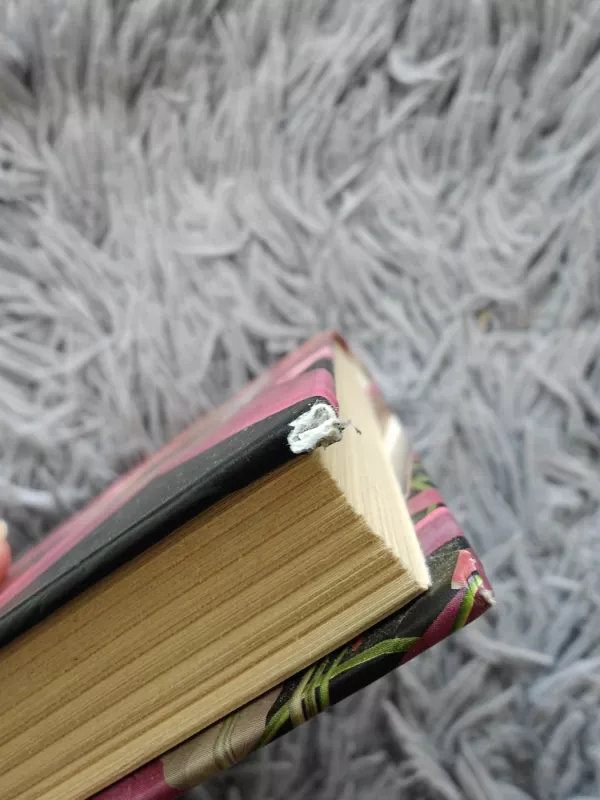 Vegetarė - Han Kang, knyga 5