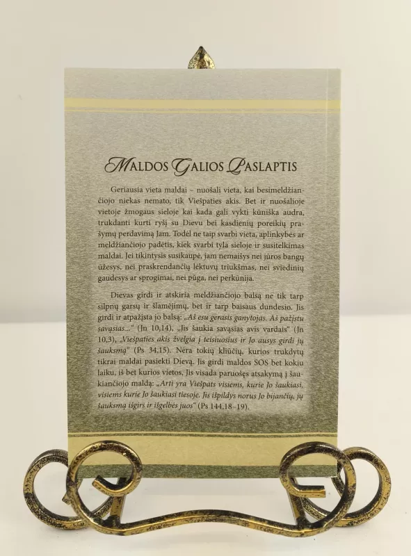 Maldos galios paslaptis - Salos-Astachov N.I., knyga 2