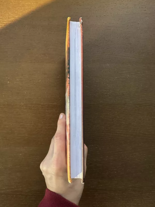 stebuklas prie talio ir ihantalos - Mika Kulju, knyga 3