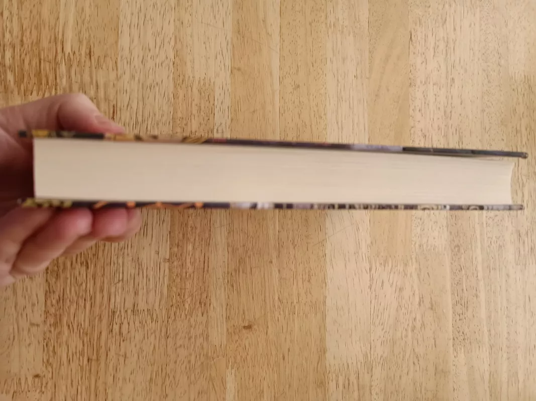 Mergelių tyla - Pat Barker, knyga 5