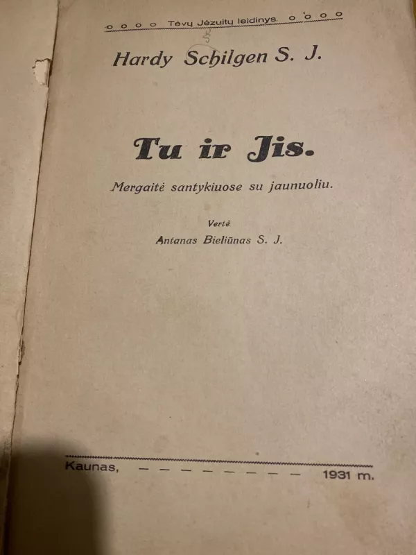 Tu ir Jis - Hardy Schilgen, knyga 4