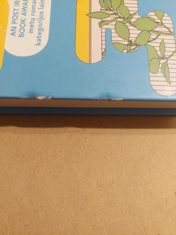 Gražus pasauli, kurgi tu - Sally Rooney, knyga 6