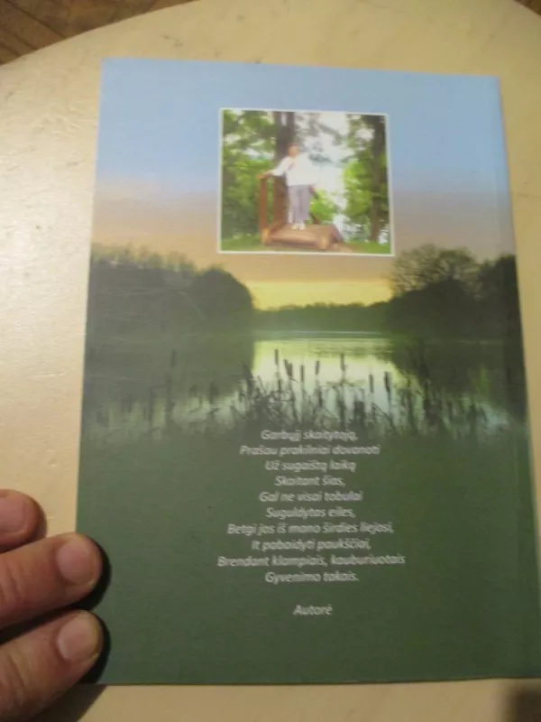 Sakmė apie ežerą šventą - Irena Valiužienė, knyga 3