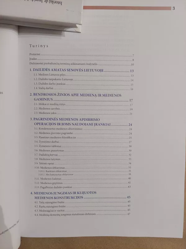 Dailidės darbai - Rimantas Avižienis, knyga 3