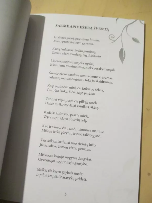 Sakmė apie ežerą šventą - Irena Valiužienė, knyga 6