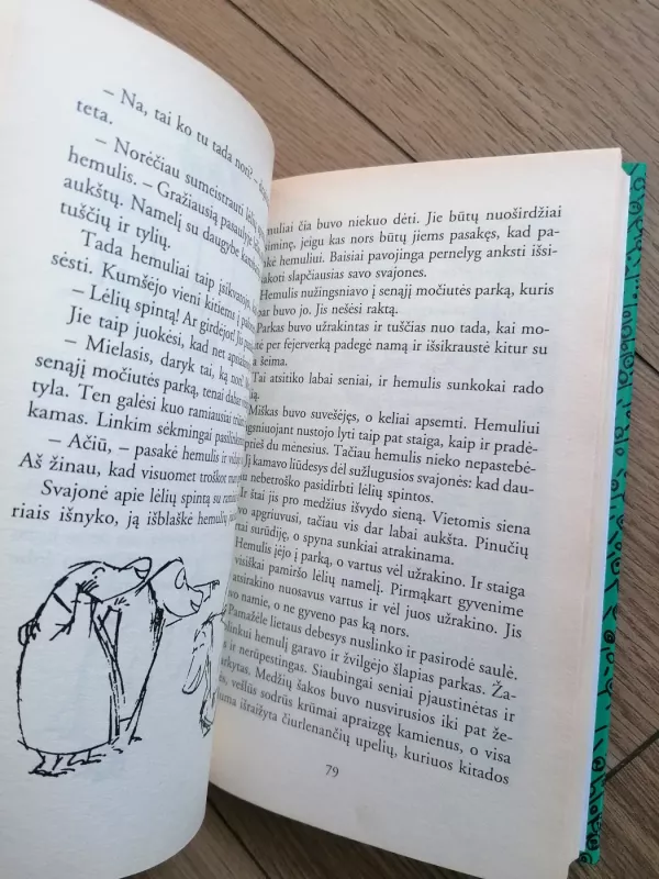 Nematomas vaikas ir kiti apsakymai - Tuvė Janson, knyga 5