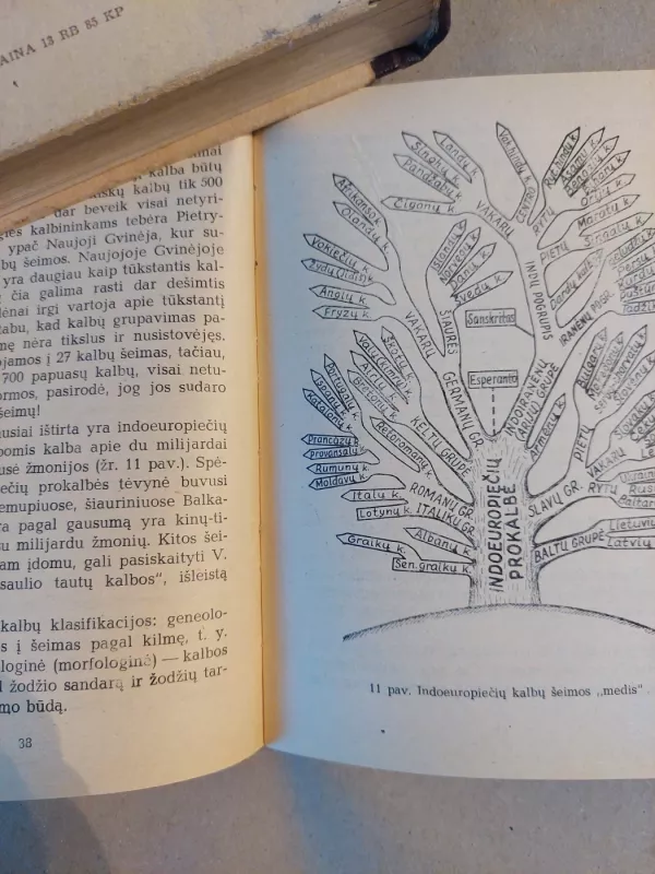 Nuo Babelio iki esperanto - Petras Čeliauskas, knyga 4