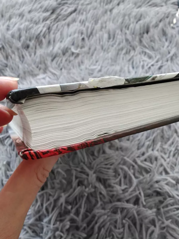 Katastrofos chronologija - Mark Solonin, knyga 5